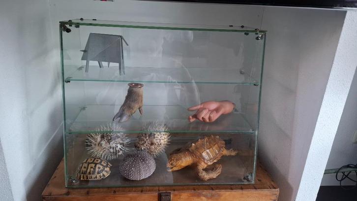 Uniek oud antiek glazen vitrine kastje, Antiek en Kunst, Antiek | Meubels | Kasten, Ophalen