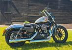 Harley Davidson XL 883 Sportster Iron - 2012 - Custom!, 2 cilinders, Motorrijbewijs A, 883 cc, Particulier