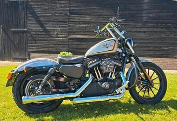Harley Davidson XL 883 Sportster Iron - 2012 - Custom! beschikbaar voor biedingen