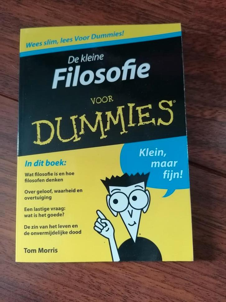 De Kleine Filosofie Voor Dummies - Tom Morris, Boeken, Filosofie, Zo goed als nieuw, Algemeen, Ophalen of Verzenden