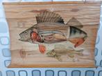 Schoolkaart Vis, Ophalen, Natuur en Biologie