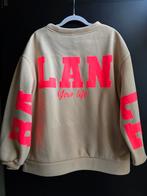 Nieuwe trui beige neon roze 42 44 46, Ophalen of Verzenden, Nieuw, Maat 46/48 (XL) of groter, Beige