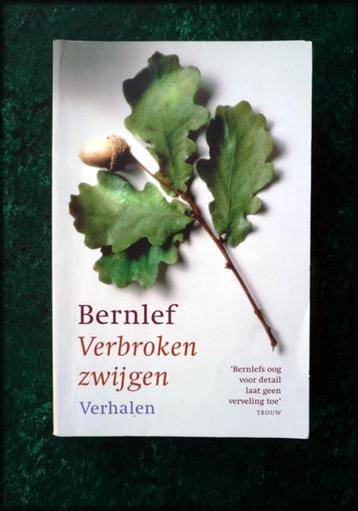 VERBROKEN ZWIJGEN - Bernlef - Verhalen - De wereld zwijgt. D beschikbaar voor biedingen
