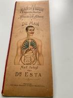 Man verplaatsbare afb. van het menschelijk lichaam, Gelezen, Overige wetenschappen, Dr Estes, Ophalen of Verzenden