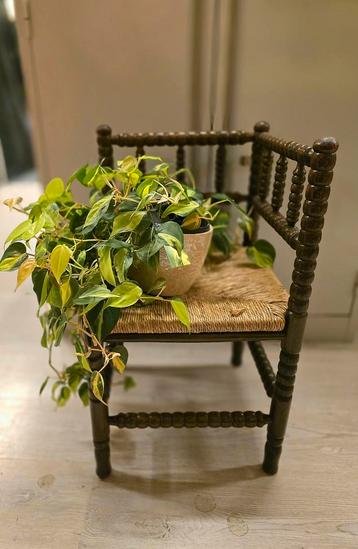 Vintage hoekstoeltje met bolpoten dressboy plantentafeltje  beschikbaar voor biedingen