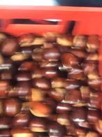 Tamme Kastanjes - Vers uit tuin van moeder, Diversen, Levensmiddelen, Ophalen of Verzenden