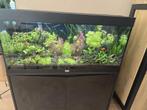 Aquarium compleet!!!, Dieren en Toebehoren, Vissen | Aquaria en Toebehoren, Ophalen, Zo goed als nieuw, Gevuld zoetwateraquarium