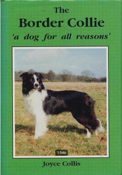 The Border Collie - Joyce Collis, Boeken, Dieren en Huisdieren, Gelezen, Honden, Ophalen of Verzenden