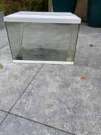 aquarium superfish, Dieren en Toebehoren, Ophalen, Gebruikt, Leeg aquarium