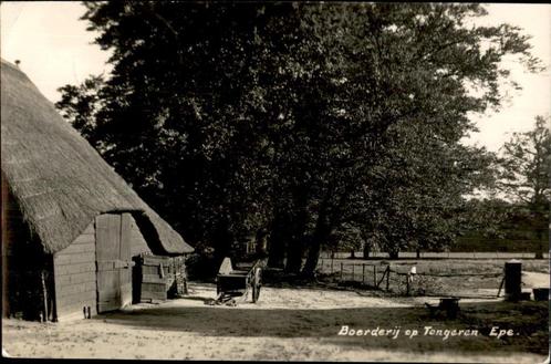 Epe Boerderij op Tongeren  Newo FOTOKAART st 1935, Verzamelen, Ansichtkaarten | Nederland, Gelopen, Gelderland, 1920 tot 1940