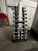 Chrome Dumbells 1kg t/m 10kg + Opbergrek, Ophalen, Gebruikt, Dumbbell