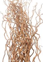 Gezocht Krulwilg takken, Volle zon, Bloeit niet, 100 tot 250 cm, Overige soorten