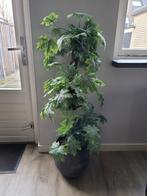 Kunstplant - 120 cm, Ophalen, Zo goed als nieuw, Binnen