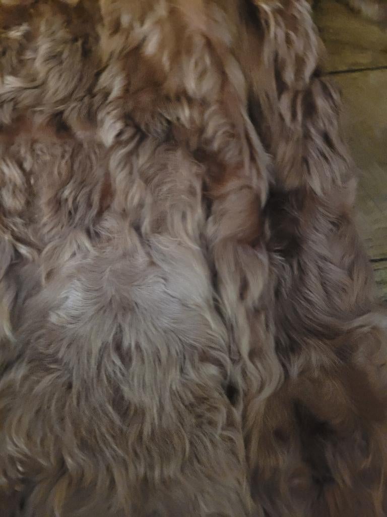 Zeer oude cognac kleurige bontjas, Antiek en Kunst, Ophalen of Verzenden