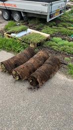 Wij kopen sedum op!, Doe-het-zelf en Verbouw, Dakpannen en Dakbedekking, Ophalen of Verzenden, Gebruikt