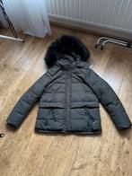 EDC winterjas maat L, Maat 42/44 (L), Ophalen of Verzenden, Groen, Gedragen