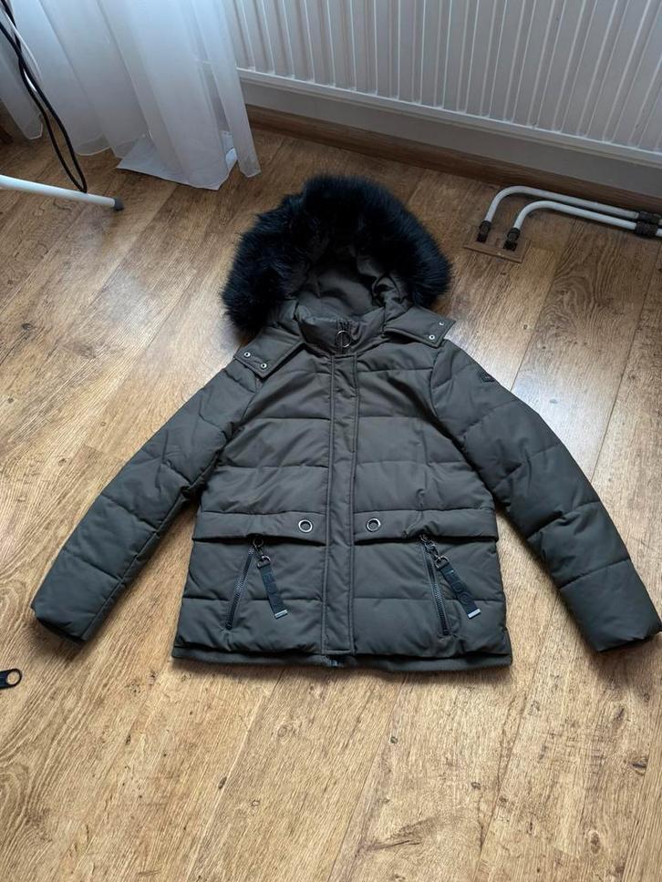 EDC winterjas maat L, Kleding | Dames, Jassen | Winter, Zo goed als nieuw, Maat 42/44 (L), Groen, Ophalen of Verzenden