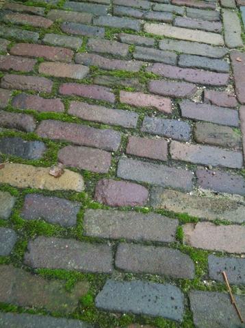 30 m2 oud gebakken waalformaat wisselende lengtes waaltjes beschikbaar voor biedingen