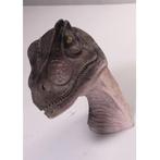 Allo Saurus Hoofd – Dinosaurus beeld Lengte 59 cm, Ophalen, Nieuw