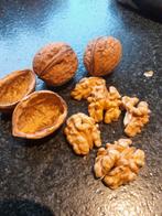 Walnoten,  oogst 2025, Ophalen