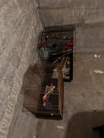 Mooie vogel kooi 2x, Ophalen of Verzenden, Zo goed als nieuw, Metaal, Vogelkooi