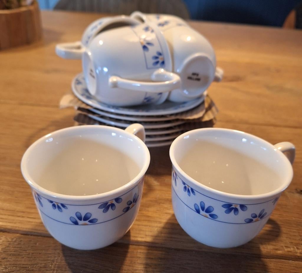 6 Nieuwe Kop en Schotels, Ophalen of Verzenden, Nieuw, Kop(pen) en/of Schotel(s)