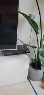 Bose Surround sound, 70 watt of meer, Overige spelers, Ophalen, Overige merken