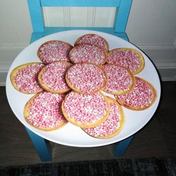 Beschuit roze muisjes schaal - kunststof zie omschrijving beschikbaar voor biedingen