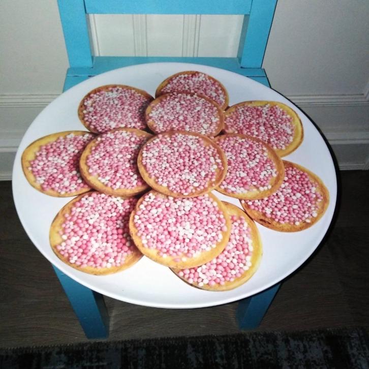 Beschuit roze muisjes schaal - kunststof zie omschrijving, Kinderen en Baby's, Kraamcadeaus en Geboorteborden, Gebruikt, Geboortebord