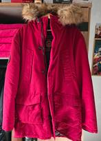 Rode Winterjas Heren 3XL Everest, Ophalen of Verzenden, Overige maten, Rood
