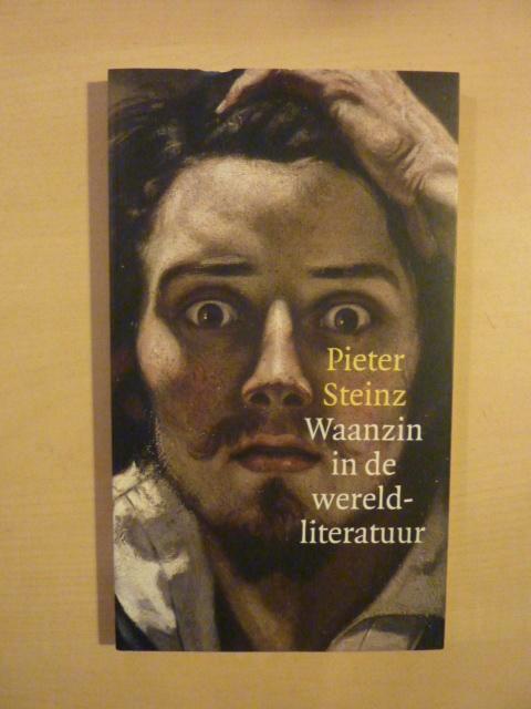 Pieter Steinz - Waanzin in de wereldliteratuur, Boeken, Boekenweekgeschenken, Zo goed als nieuw, Ophalen of Verzenden