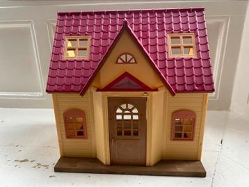 Sylvanian huis