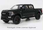 Ford Shelby F-150 Centennial Edition 2024 Zwart - 1:18