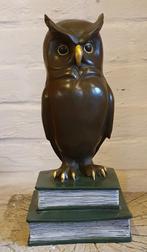 WIJZE UIL / BRONZEN BEELD / BRONS / 23 cm hoog, Antiek en Kunst, Kunst | Beelden en Houtsnijwerken, Ophalen of Verzenden
