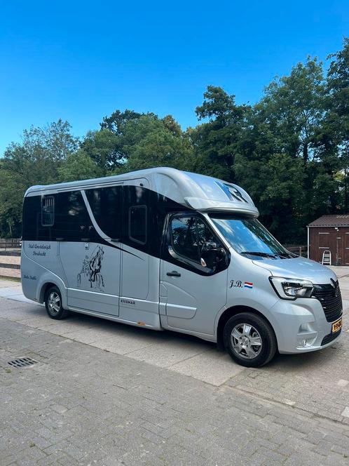 Te Huur vanaf 75€ halve dag, Dieren en Toebehoren, Paarden en Pony's | Dekhengsten en Fokmerries, Hengst