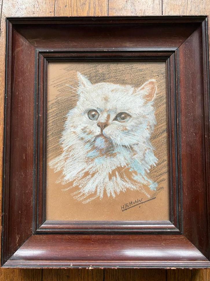 Pasteltekening Witte Poes, HJE Mulder, Ingelijst, Antiek en Kunst, Kunst | Tekeningen en Foto's, Ophalen of Verzenden