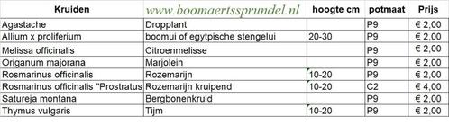 Anijshysop, Tuin en Terras, Planten | Tuinplanten, Vaste plant, Kruiden, Volle zon, Zomer, Ophalen of Verzenden