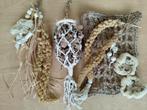 (set15) 3 delig; naturel sloop & smul, Ophalen of Verzenden, Nieuw, Kooi-accessoires