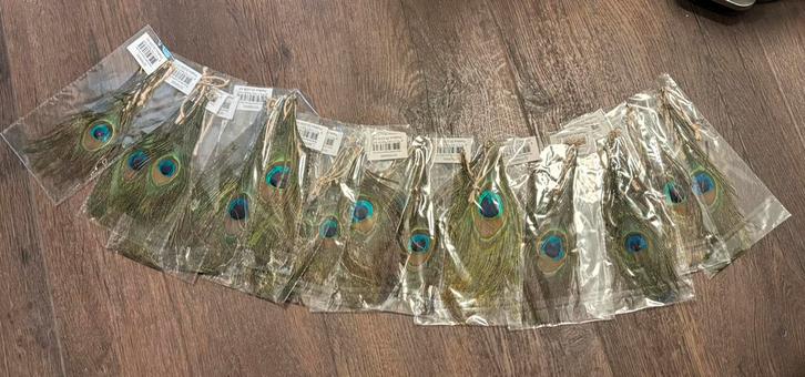 Pauwen veren hangers, Huis en Inrichting, Woonaccessoires | Overige, Nieuw, Ophalen of Verzenden