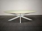 Ovale eettafel linoleum mintgroen 240x100