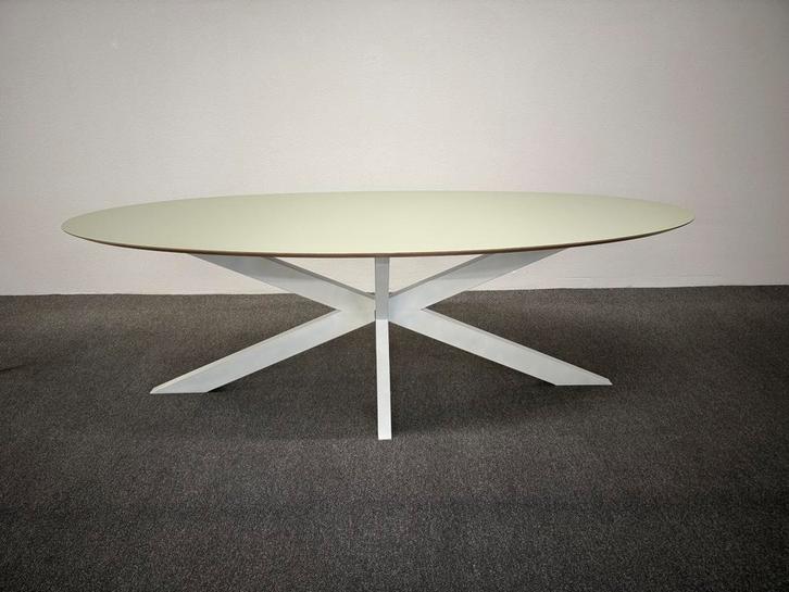 Ovale eettafel linoleum mintgroen 240x100, Huis en Inrichting, Tafels | Eettafels, Zo goed als nieuw, 100 tot 150 cm, 200 cm of meer
