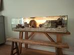 Gerbilarium/hamsterkooi, grote glazen bak 120cm, Ophalen, Hok, 90 cm of meer