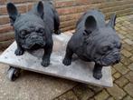 Franse Buldog  van beton, Ophalen, Gebruikt, Beton, Dierenbeeld