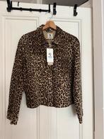 Panter spijkerjasje maat S garcia, Kleding | Dames, Jassen | Zomer, Bruin, Ophalen of Verzenden, Zo goed als nieuw, Maat 36 (S)