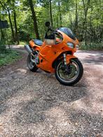 Triumph Datona 955i, Meer dan 35 kW, 900 cc, 3 cilinders, Sport