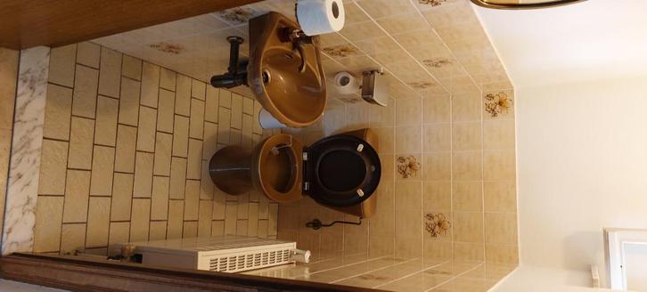 retro sanitair, Doe-het-zelf en Verbouw, Sanitair, Gebruikt, Overige typen, Ophalen