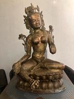 Tara beeld, Ophalen of Verzenden, Zo goed als nieuw