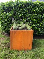 Cortenstaal bloembakken, Tuin en Terras, Ophalen, 100 cm of meer, Vierkant, Nieuw