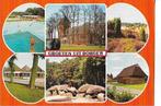 Borger, Verzamelen, Ansichtkaarten | Nederland, Ophalen of Verzenden, 1960 tot 1980, Gelopen, Drenthe