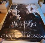 Film abri / bushok poster harry potter voldemort, Ophalen of Verzenden, Zo goed als nieuw, A1 t/m A3, Film en Tv
